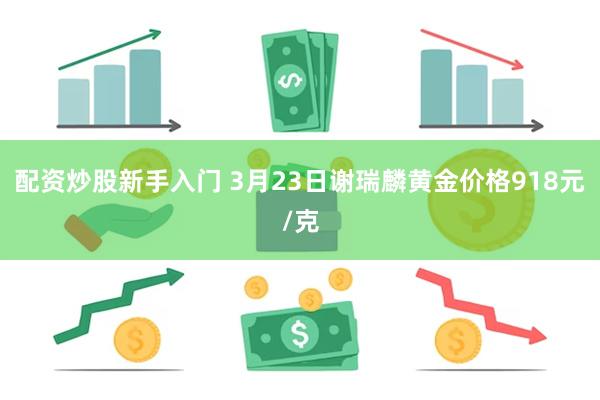 配资炒股新手入门 3月23日谢瑞麟黄金价格918元/克