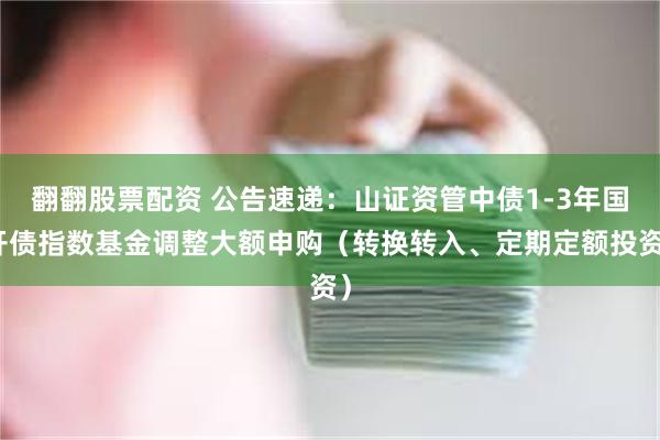 翻翻股票配资 公告速递：山证资管中债1-3年国开债指数基金调整大额申购（转换转入、定期定额投资）