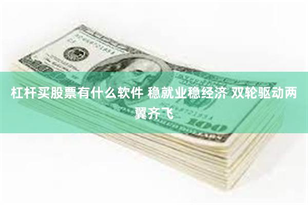 杠杆买股票有什么软件 稳就业稳经济 双轮驱动两翼齐飞