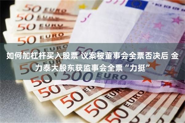 如何加杠杆买入股票 议案被董事会全票否决后 金力泰大股东获监事会全票“力挺”