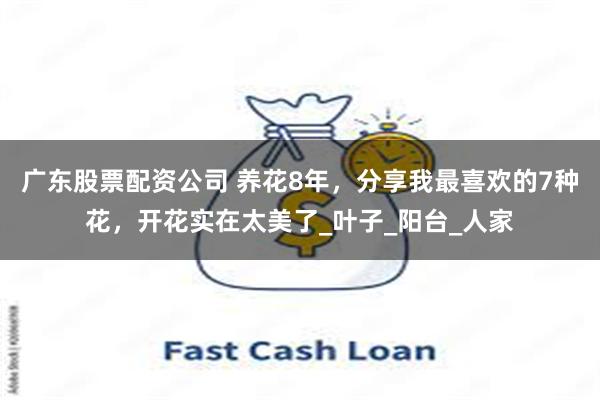 广东股票配资公司 养花8年，分享我最喜欢的7种花，开花实在太美了_叶子_阳台_人家